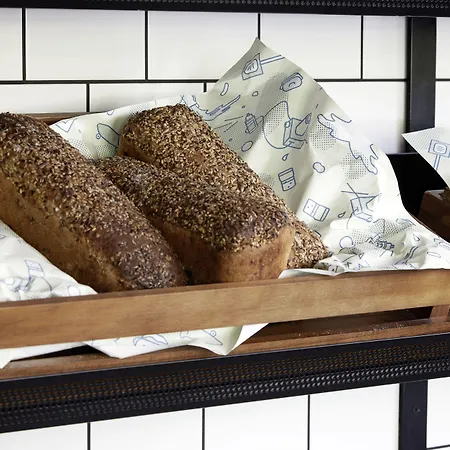 بورو كراكوف كازيميرز كراكوفيا